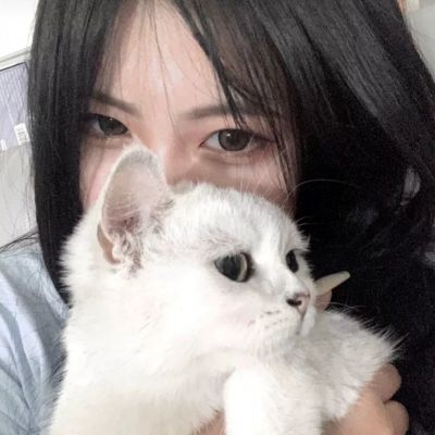 B—sports登录B体育