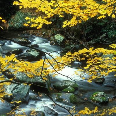 博鱼电竞app下载截图